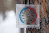 Весенняя оттепель в горах Кент